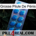 Grosse Pilule De Pénis viagra1